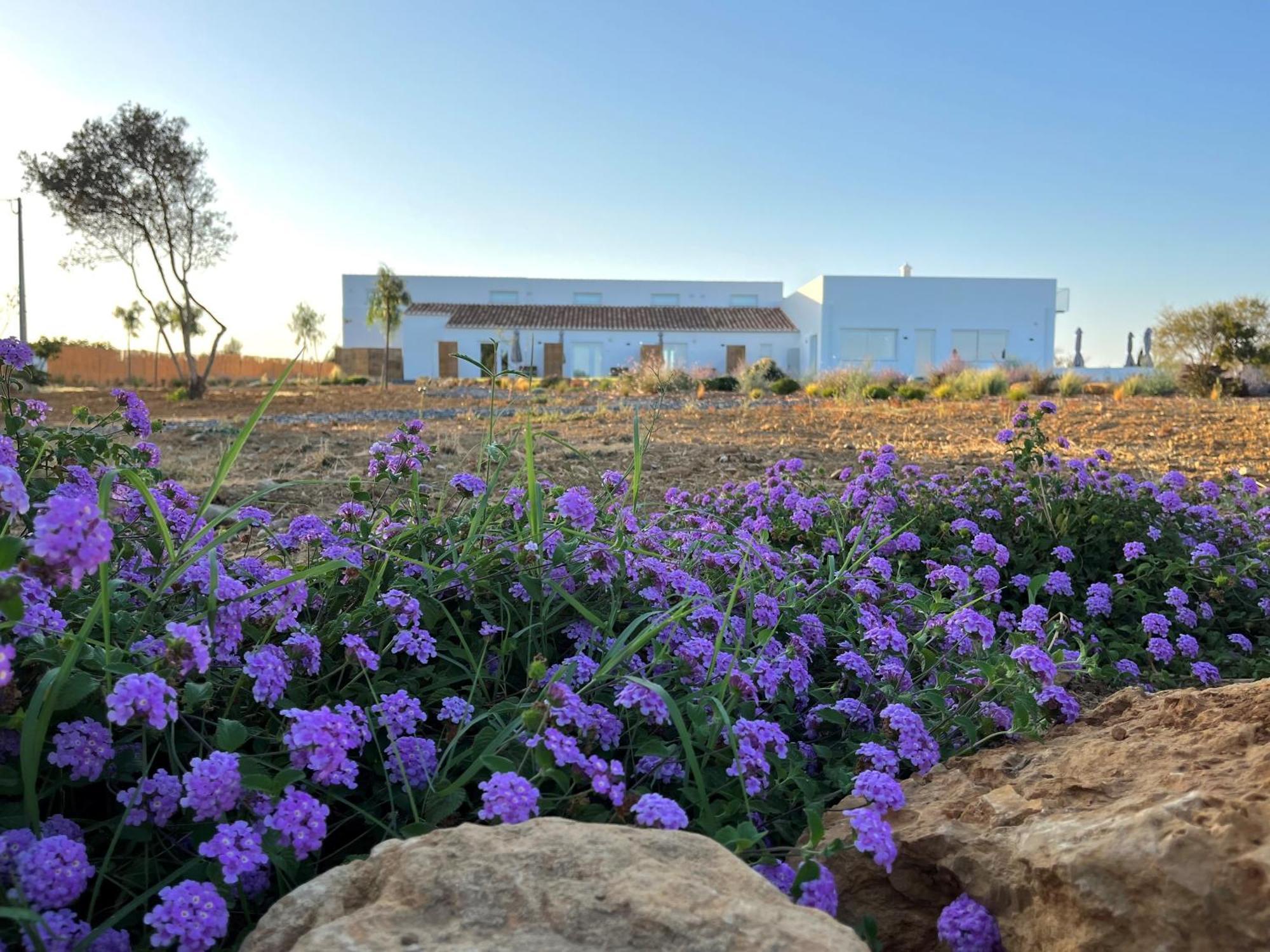 Villa Lobos Tavira Buitenkant foto